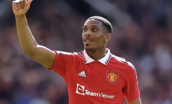 维奇的兴趣 维奇的兴趣